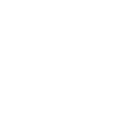 The Gold Rush
